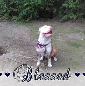 Meet your Posher, Brenda